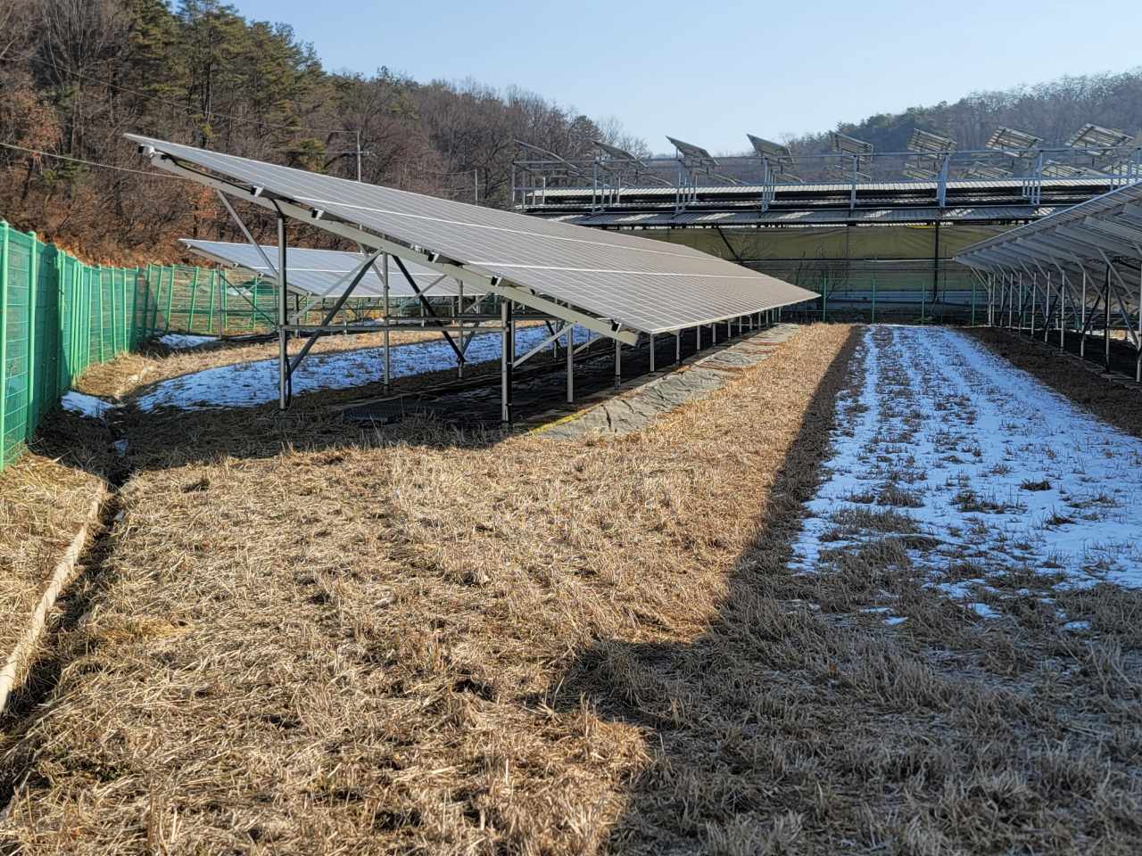 오아시스태양광발전소